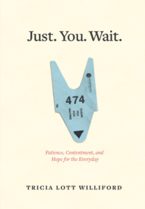 Just-You-Wait-COVER