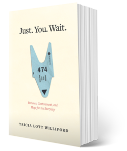 just-you-wait-paperback-cover